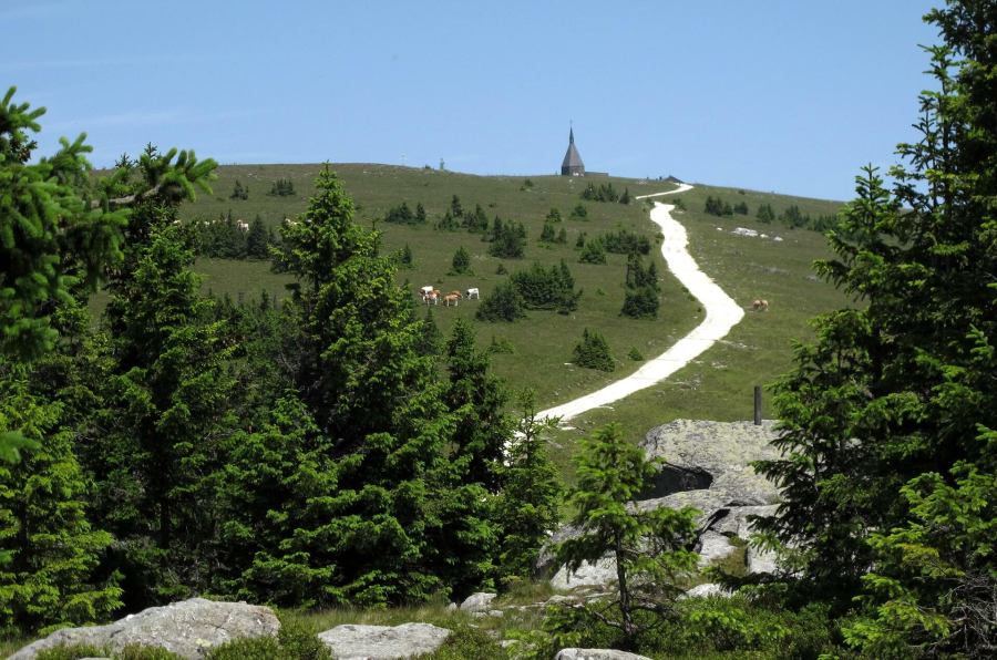Mautstraße_Hochwechsel_Ansicht_Oststeiermark_87195862x